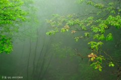 煙雨霏霏不肯收，氤氳掃盡復登樓
