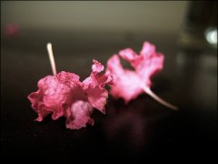 往事如風，癡心只是難懂