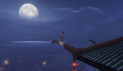 每一天夜里都睡不著，獨自一個人在樓頂看月亮