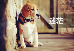 在看不到意義的時候尋求人生的意義