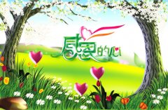 關于感恩父母的親情句子