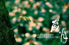 歲月蹉跎，光陰荏苒的唯美句子