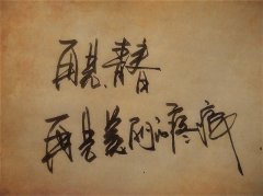 關于再見青春的優美句子