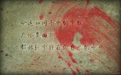 網絡經典語錄
