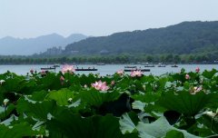 關于西湖的優美句子