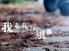 關于距離的傷感說說 關于距離的傷感說說