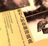 《愿有人陪你顛沛流離》經典語錄
