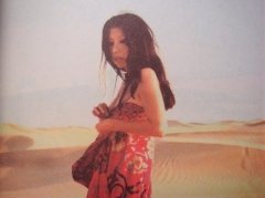 三毛人生感悟的句子 三毛人生感悟的句子