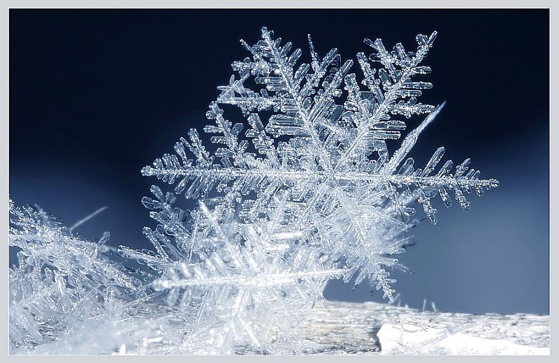 有關雪花的句子 有關雪花的句子
