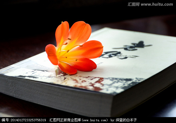 關于讀書的唯美句子