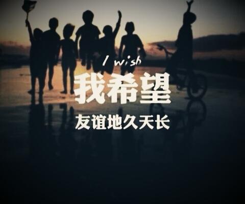 朋友情的名言