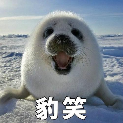 逗開心的句子