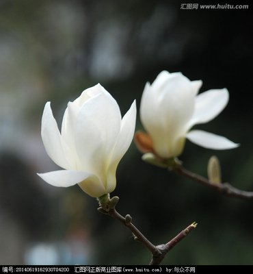問候短信以愛心溫暖 問候短信以愛心溫暖