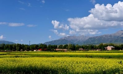 美容院夏天發給顧客的問候短信