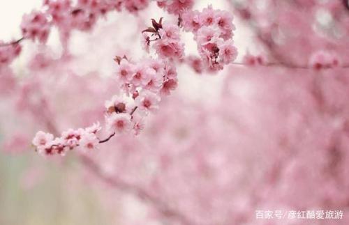 讓對方后悔的句子