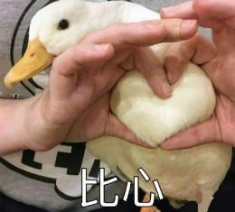關于開心的周末句子