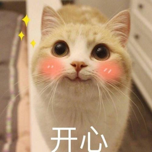 描寫開心的心情句子