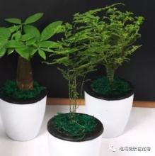 表示開心文藝的句子有哪些