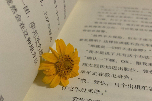 特別走心的唯美干凈短句   總有一句與你心靈撞擊