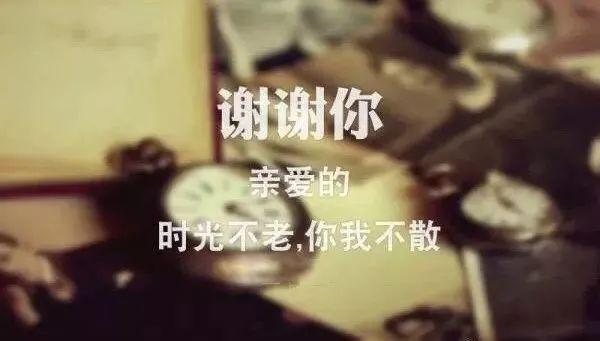 2021年最走心的經典句子 情商高的人發的說說