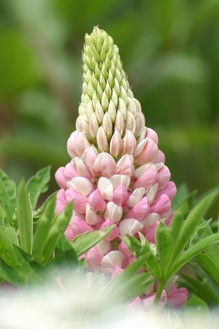 親情暖心的短句子說說心情短語 親情暖心的短句子說說心情短語