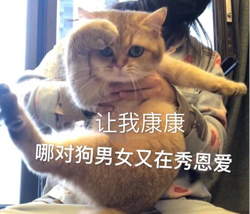 適合七夕發朋友圈的搞笑文案  適合單身狗七夕發圈的句子