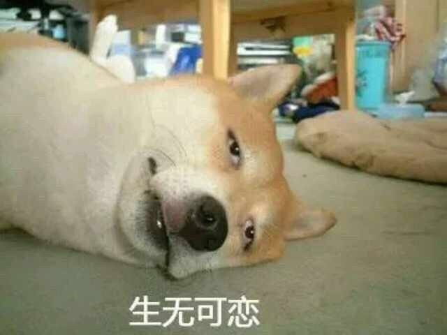 生無可戀的絕望的句子、圖片