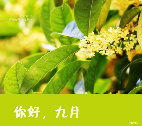 九月你好愿所有美好不期而遇所有幸運如約而至 九月你好愿所有美好不期而遇所有幸運如約而至