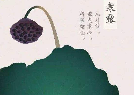 寒露時節的祝福語說說 寒露時節的祝福語說說