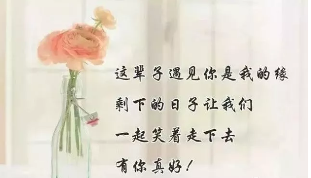 2022最新感恩節感謝的句子
