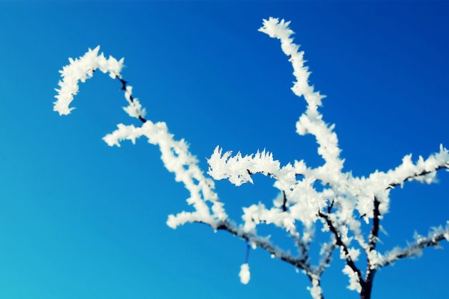 霜降說說經典句子 心情短語