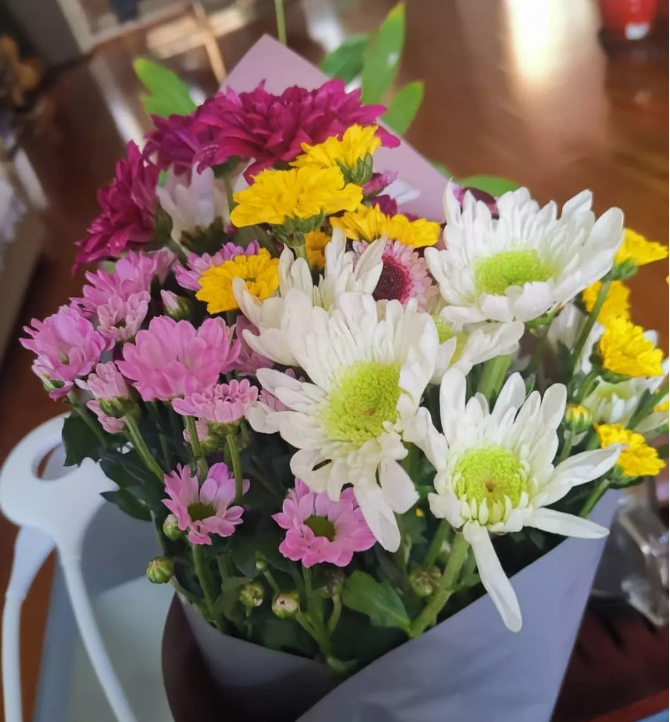 小雛菊花語 小雛菊花語