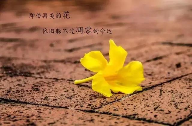 男生成熟經典語錄說說
