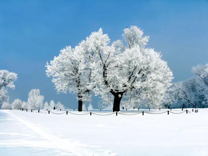 雪的唯美詩句