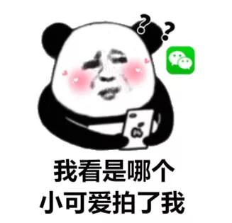 微信拍一拍搞笑后綴可愛 微信拍一拍搞笑后綴可愛