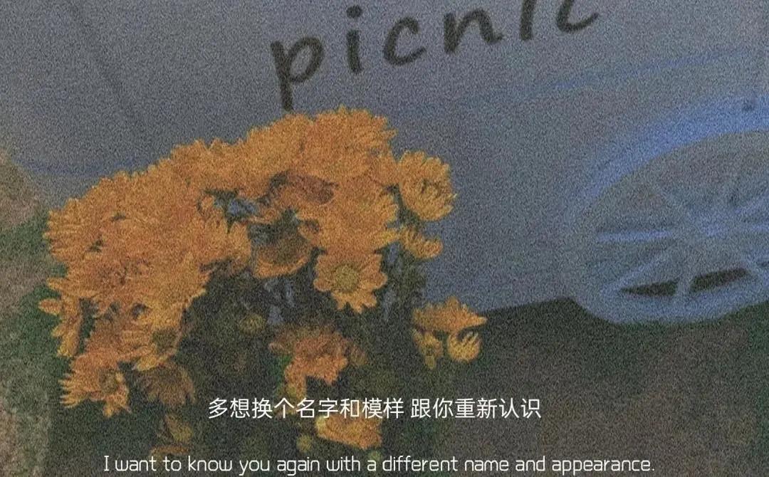 深夜語錄經典語錄