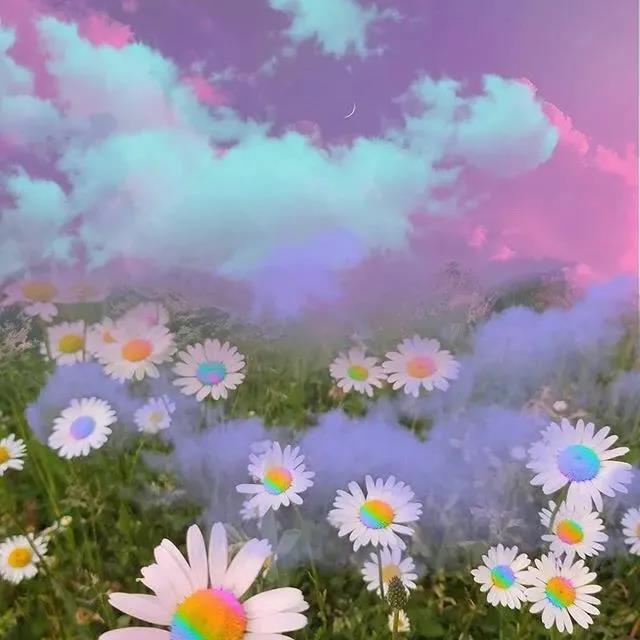 最經典的殺馬特句子