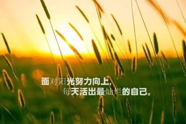 人生感悟正能量短句 人生感悟正能量短句