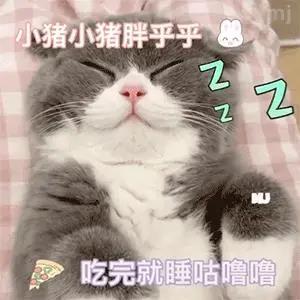 穩居C位的沙雕文案
