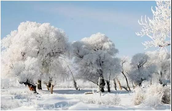 冬天雪景的優美句子
