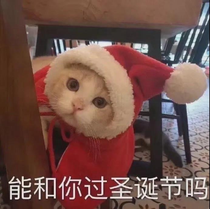 圣誕節幽默句子