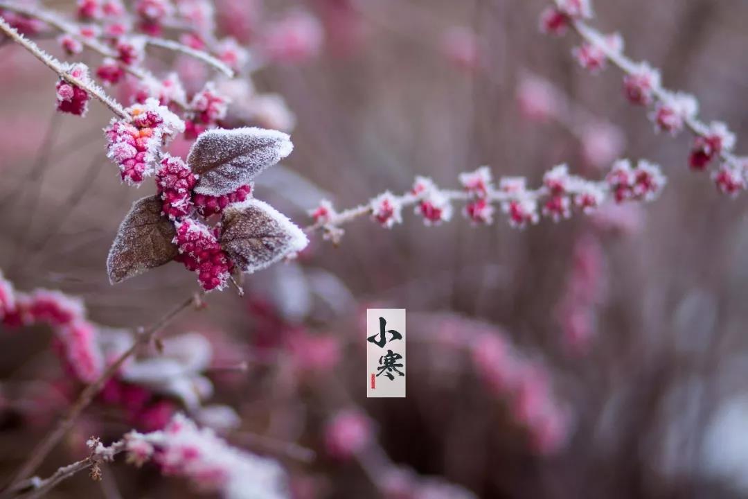 描寫小寒節氣冷的句子