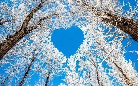 關于雪景的優美句子