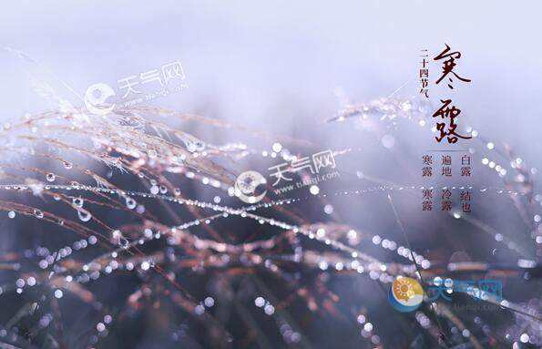 寒露的祝福語 圖片 寒露的祝福語 圖片