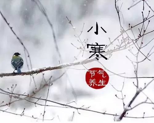 大寒養生祝福語