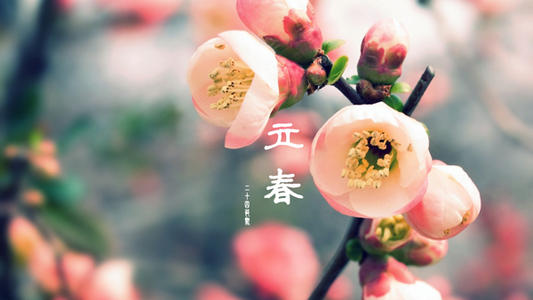 立春唯美說說句子