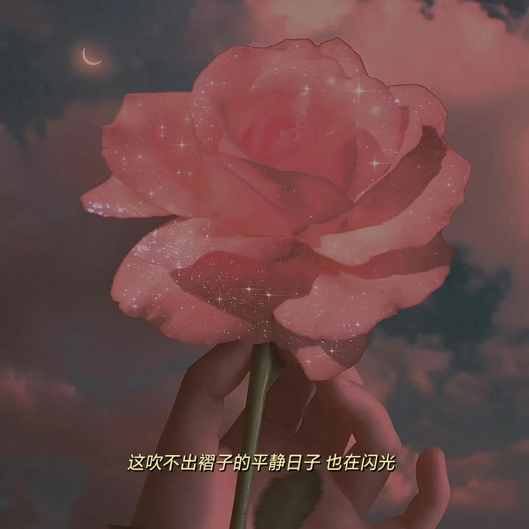 溫柔文案短句干凈 簡短走心的句子