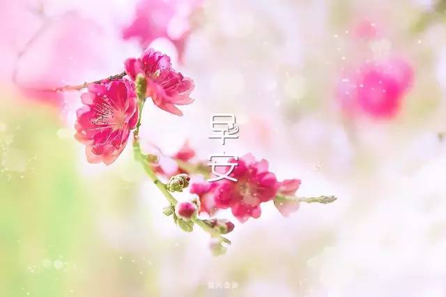 早安暖心話適合發朋友圈