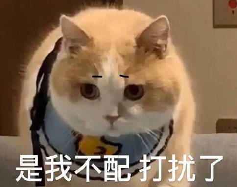 2022超級有趣的讓人爆笑的句子