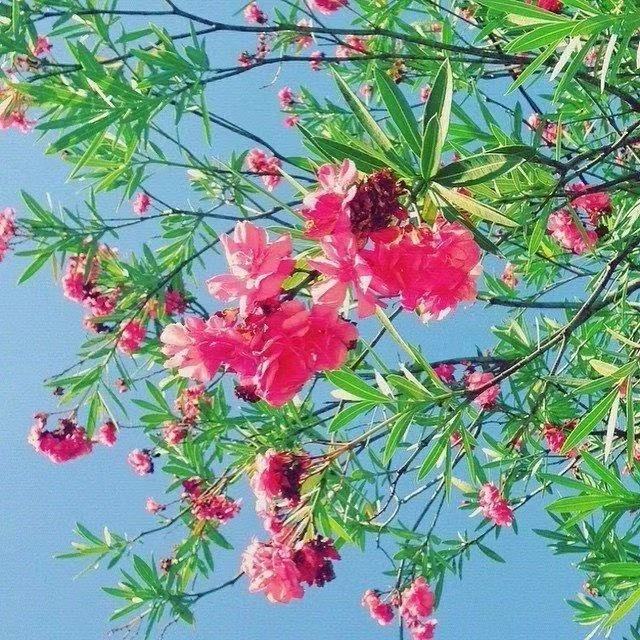 傳銷4句口號大全
